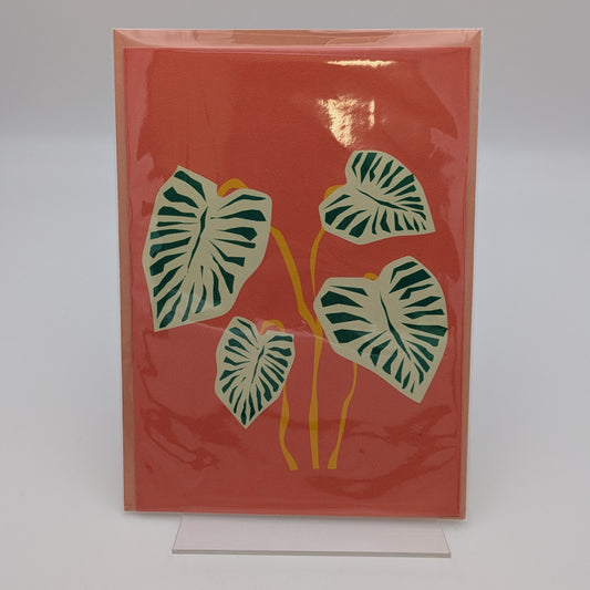 Faux Floral Market Cards