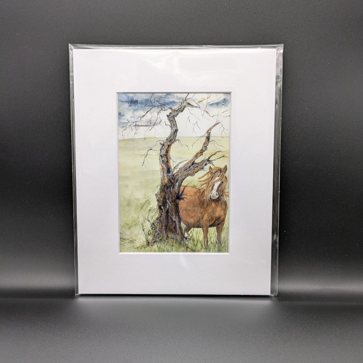 PaMaRae- Awaiting A Foal