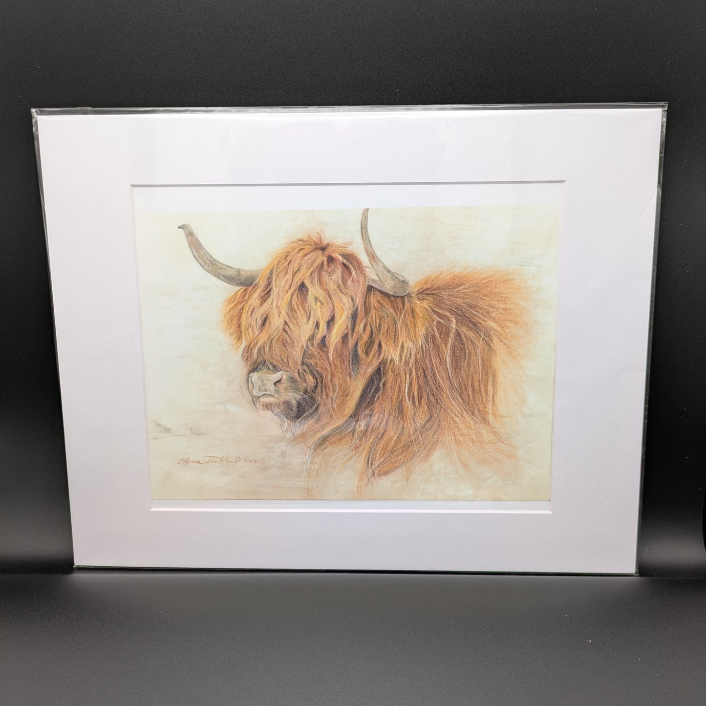 PaMaRae- Highland Cow