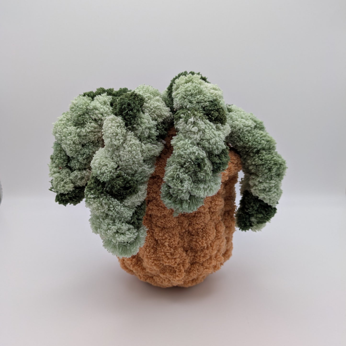 Silver Bee Designs- Plants