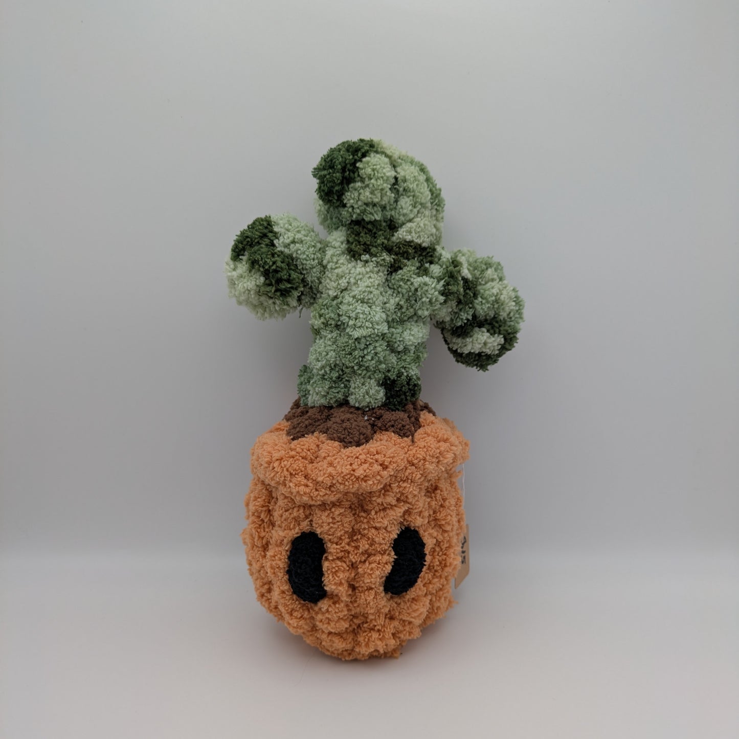 Silver Bee Designs- Plants