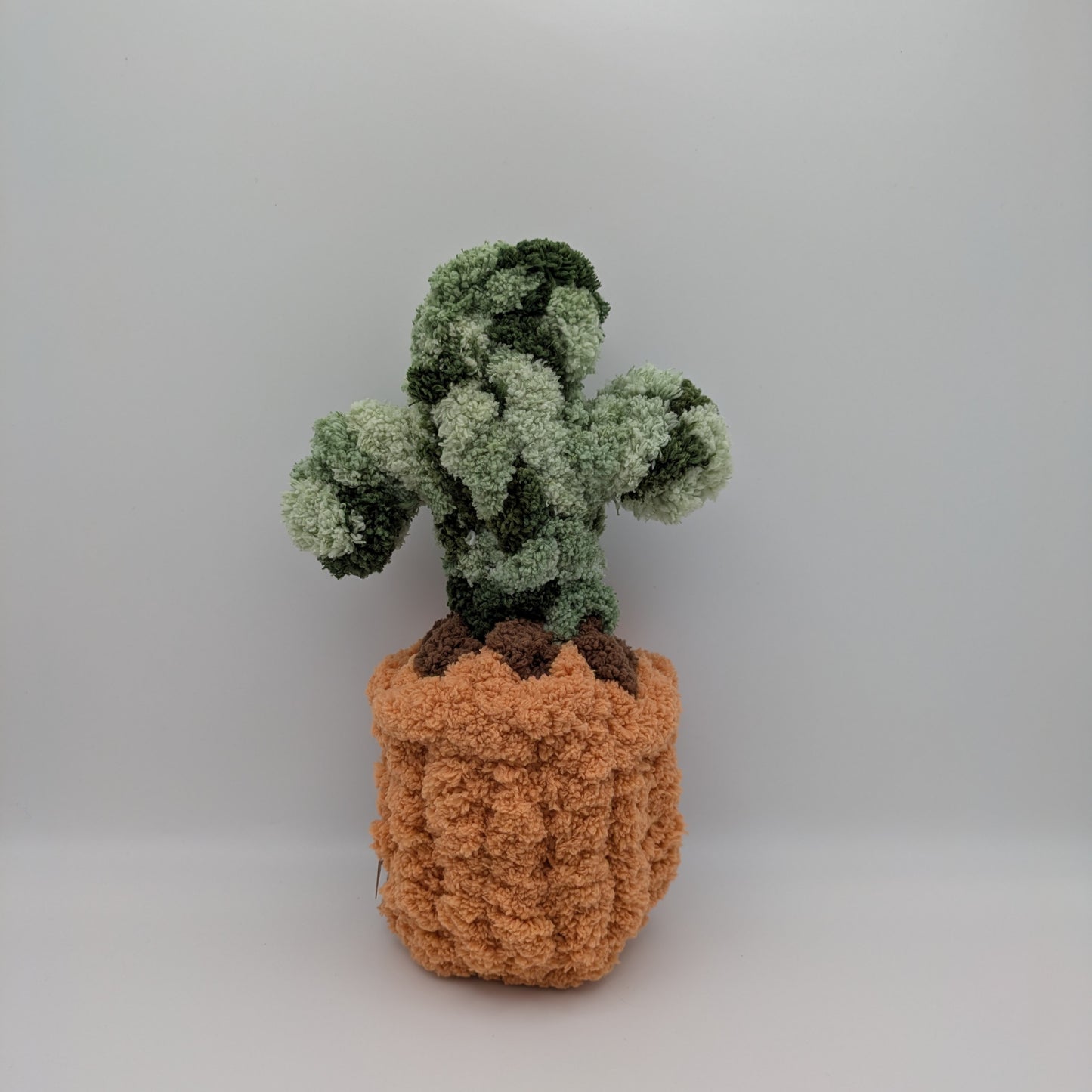 Silver Bee Designs- Plants