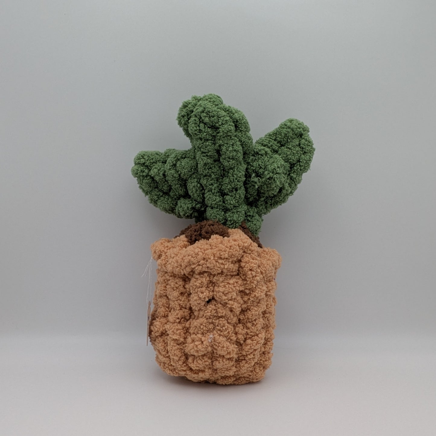 Silver Bee Designs- Plants