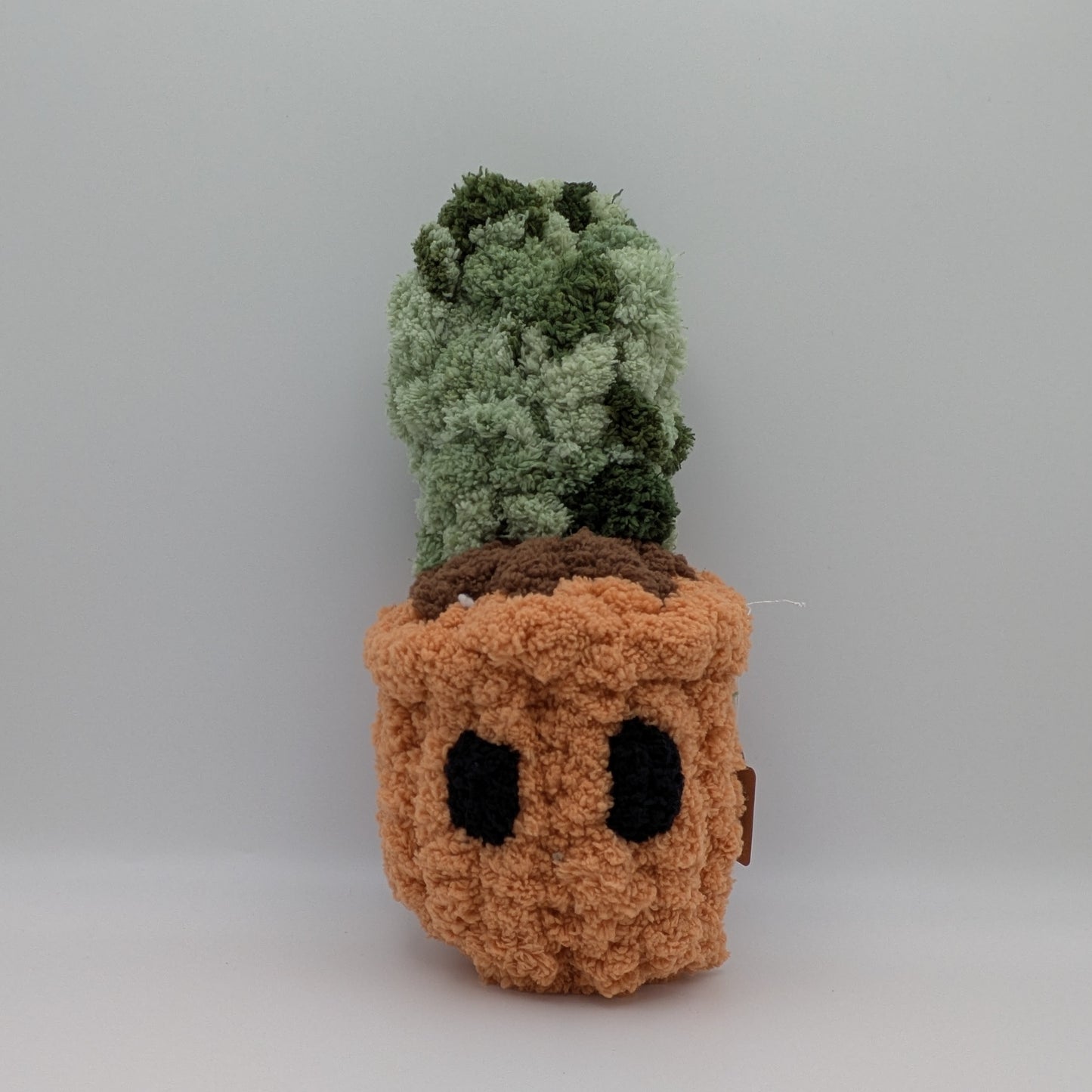 Silver Bee Designs- Plants