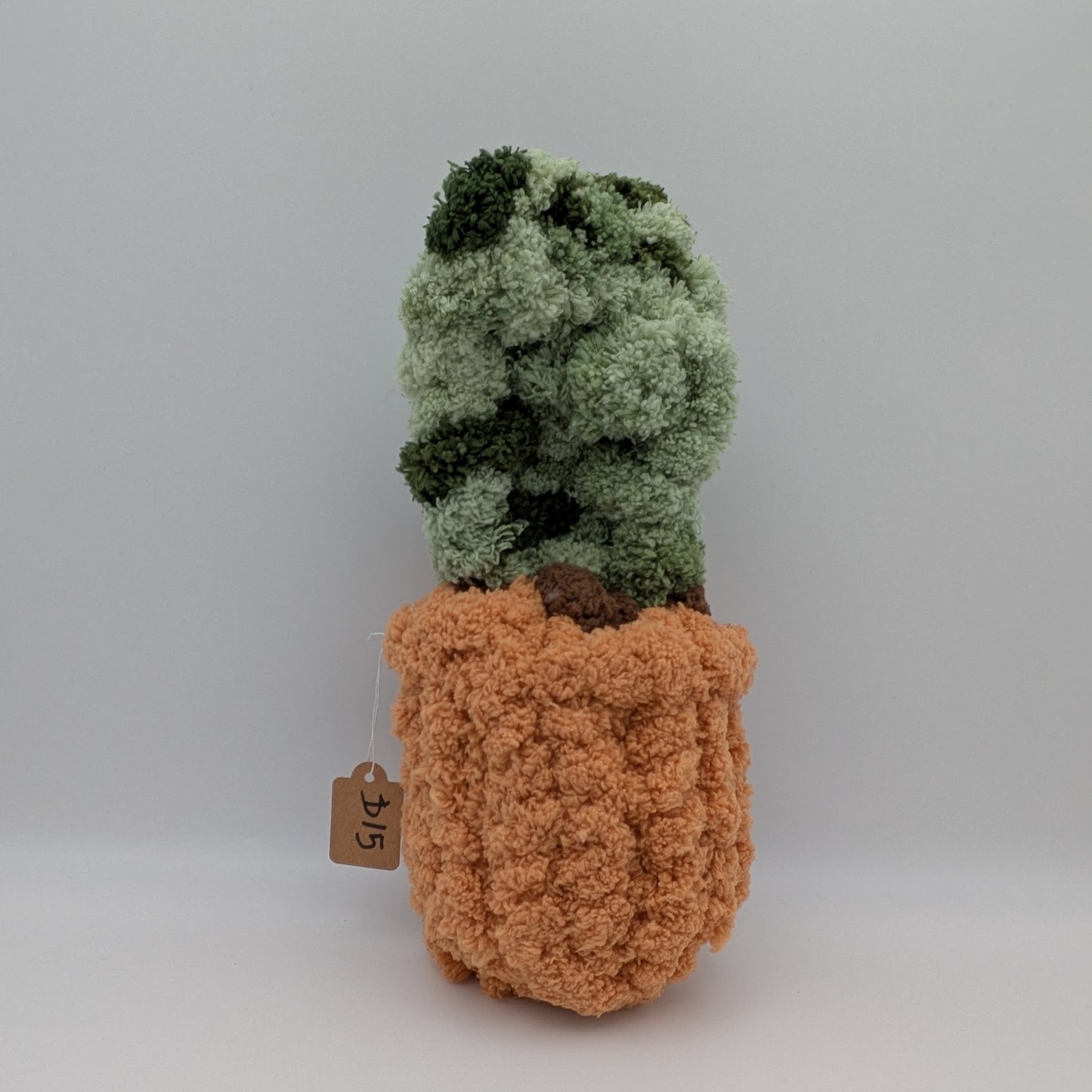 Silver Bee Designs- Plants