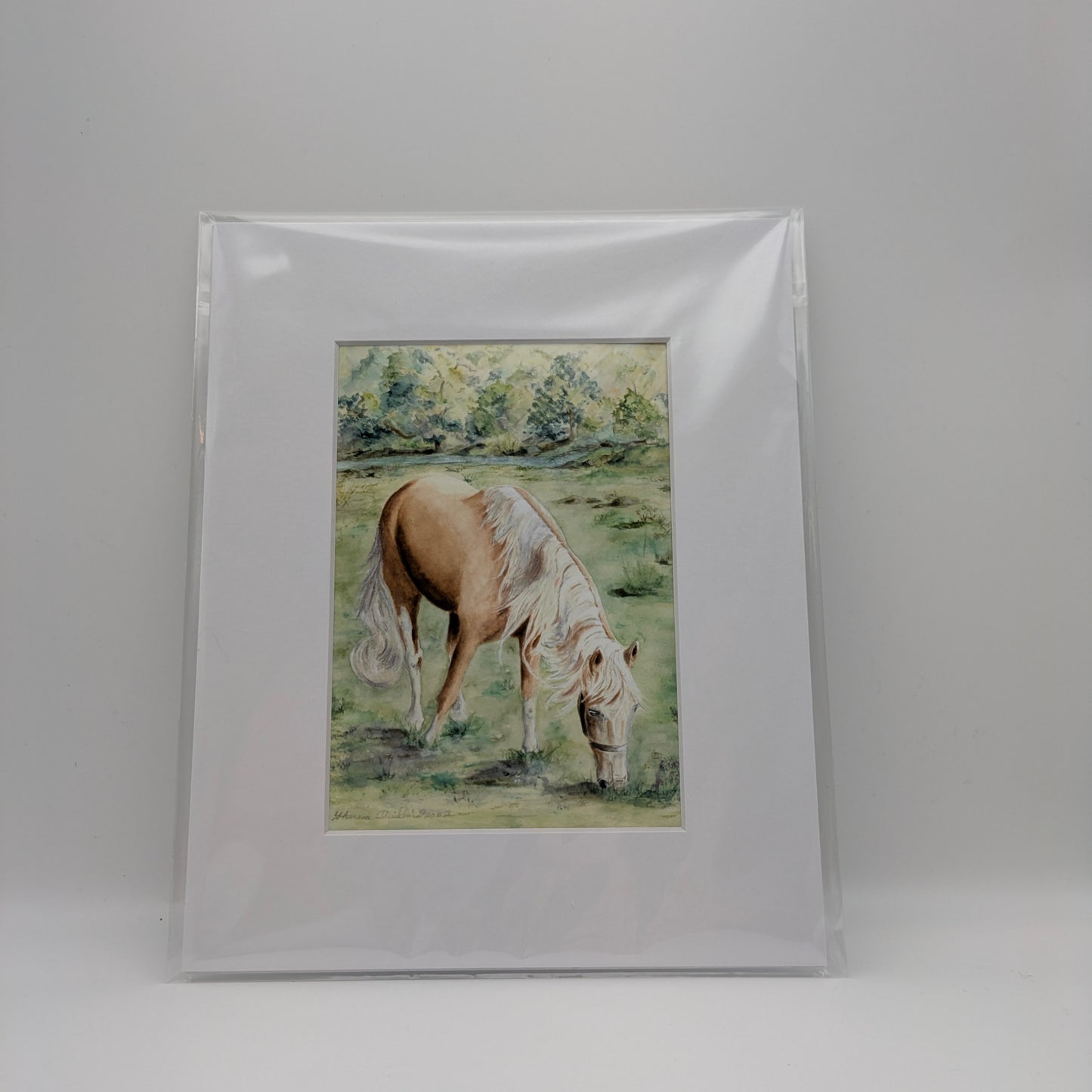 PaMaRae- Morning Graze