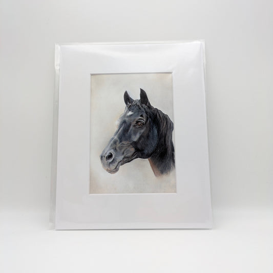 PaMaRae- Equine Elegance